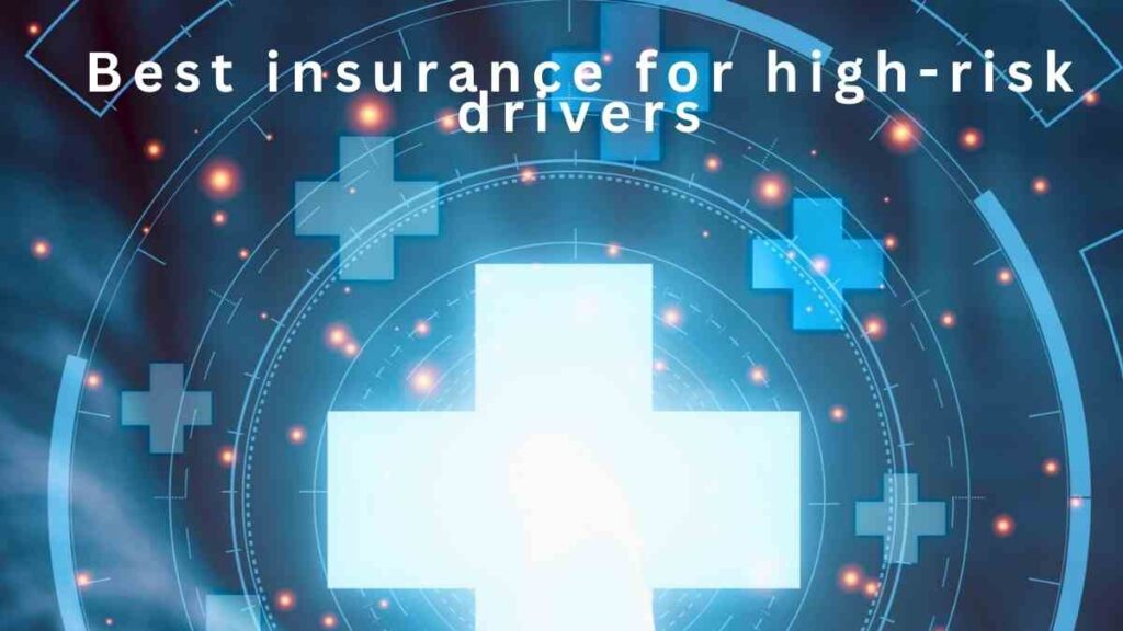 Best Insurance for High Risk Drivers